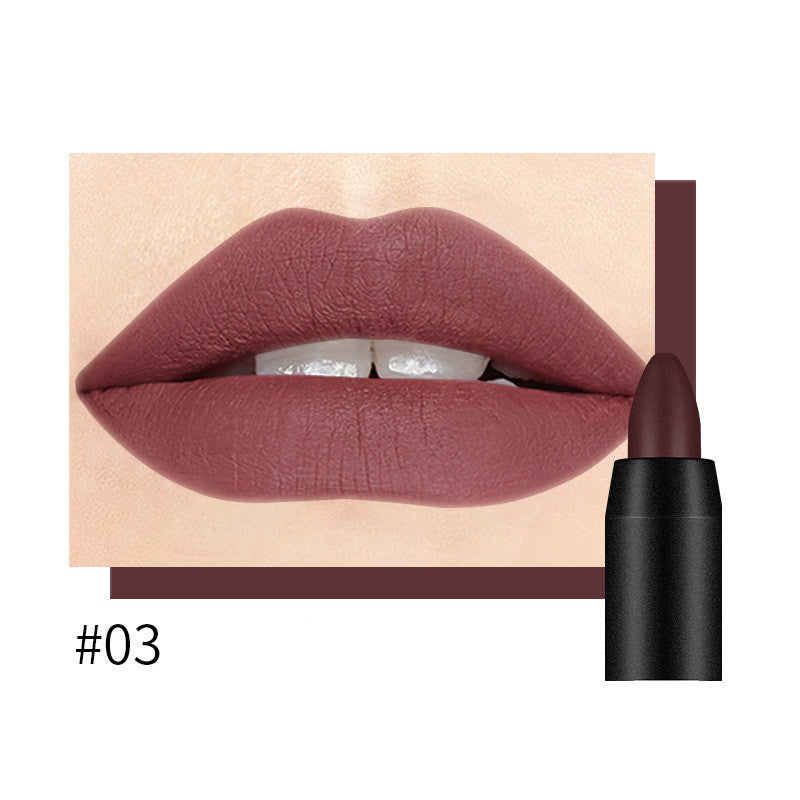 Velvet Matte Lipstick